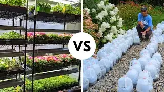 Winter Sowing, Direct Sowing, Or Grow Lights - Which Is Better?