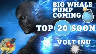 Volt Inu - TOP 20 CRYPTO SOON! BOMB IS ABOUT TO DROP!