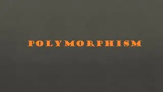 OOP: Exploring Polymorphism | Day 11