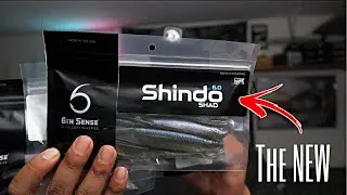 The All NEW &ldquo;SHINDO 6.0 Plus My FAVORITE CHATTERBAIT Trailer The PANORAMA 