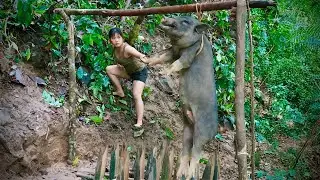 Stalk and wait until the last wild boar is caught in the trap, hunt wild boar, survival alone