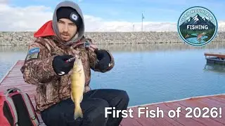 First Fish of 2026!