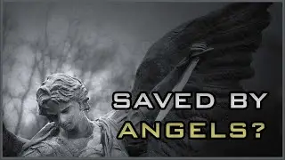 Witnesses Saved by Angelic Beings [EP295]