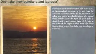 Deer Lake (Newfoundland and Labrador)