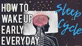 How To Wake Up Early Everyday And Not Feel Tired in 2021