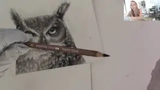 11/8/19 working on the owl series