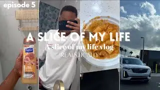 A SLICE OF MY LIFE VLOG! 📸 || manatees viewing center,library,spending the night and more!