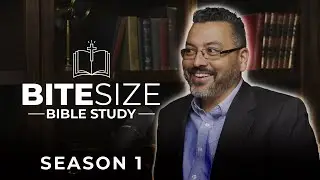 Best of Bite-Size Bible | What Happened to Disciples, Revelation Explained, Book of Enoch