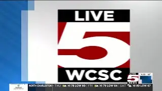 VIDEO: Portion of I-95 still closed after Dorchester County chemical spill