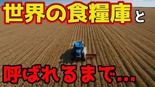 【アメリカ】の農業のとんでもない仕組み｜世界の食糧庫と呼ばれるようになるまでの歴史