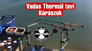Vadas Thermál Tavi Kárászok-Atomix Feeder team