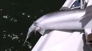 1000004