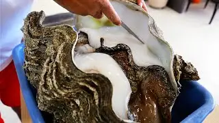 Cuisine de Palau - COQUILLAGE &Eacute;TRANGE G&Eacute;ANT Sashimi et Riz Frit Fruits de mer Koror