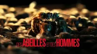 Des abeilles et des hommes de Markus Imhoof bande annonce