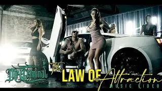 Mr. Criminal - Law Of Attraction (Official Music Video)