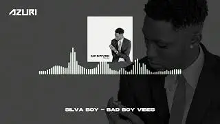 Silva Boy - BAD BOY VIBES (Official Audio)