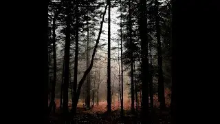 The Soundrops - In the Offing