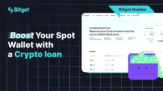 Take Advantage Of Crypto Loans | Bitget Guides