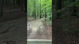 ezgo ezpress s6 mudding