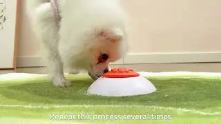 Potaroma Dog Puzzle Feeder Toy, Automatic Rechargeable Treat Dispenser