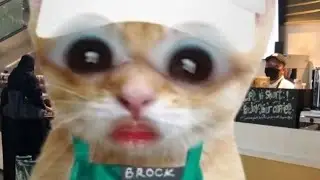 All of lego movies