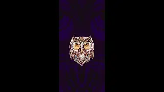 Copper Owl Coins Goes LIVE!