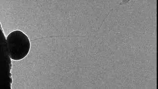 Bending test on a single-walled BNNT