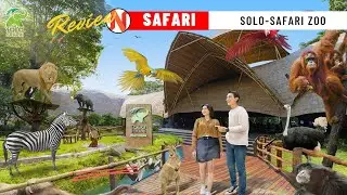 REVIEW SAFARI SOLO - SAFARI PARK SOLO ZOO TERBARU LENGKAP- WISATA TERAMAI DI SOLO