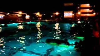Tony Zambrana performing at the USC Dive in Movie Event