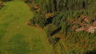 Aerial perspective of a lush green meadow and a dense forest. A hiking trail winds its way through