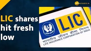 LIC Shares dropped to 24% over issue price, what should investors do? | Zee Business