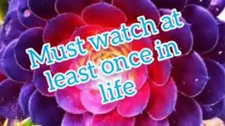 V@ Assamese  - 42 , তন্ময়তা (Tanmayata), Values for a quality life.