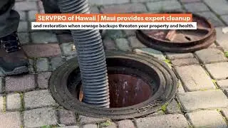 SERVPRO of Hawaii | Maui: Sewage Backups