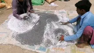 FFC FERTILIZER + ENGEO ANP MIX-UP In SUGANCARE 2ND YEAR CROP 240 VERITY!