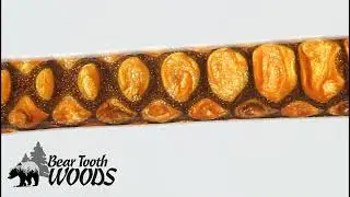 Bronze Age - Bear Tooth Woods Dragon Pattern Pen Blank