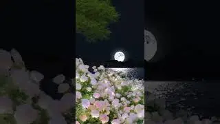 Light pink flowers at a moonlit night