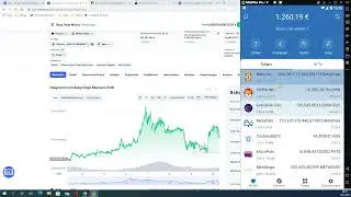 Wochenausblick Baby Doge Coin, MetaPets, MetaDoge, MicroPets