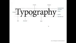 1 typography basic anatomy