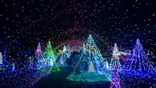 Night Lights 2018 at Tower Hill Botanic Garden