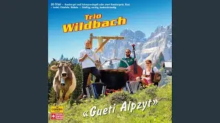 Verzwickt isch &auml;s hi&auml; (Verzwickt is a tia)