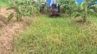 Autofarm Power Weeder TT V2 Pro (Banana Field) - 9626883388