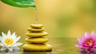The water dripping from the lotus leaves on the rocks is a peaceful music.