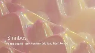 Sinnbus -Yeah But No - Run Run Run (Mollono Bass Remix) / Visualiser