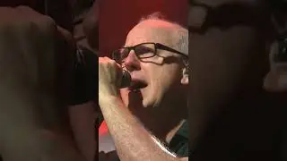 Recipe for Hate- BAD RELIGION#music #musica #guitar #guitarra #rock #shorts