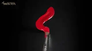 New Beautiful 11 Student Line Brushes for all kinds of use
