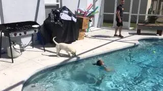 Obi discovers the pool.