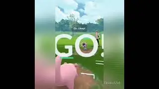 Using double water💧type pokemon in element cup | pokemon go