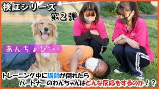 【検証シリーズ】第２弾《講師が倒れたら愛犬はどんな反応をするのか!?》