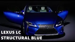 2018 Lexus LC Structural Blue Explained