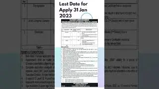 Punjab Institute of Mental Health Lahore Jobs 2023